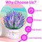 Pop Up Flowers Bouquet Cards Get Well Cards 3D Flower Birthday Cards with Note Card and Envelope for All Occasion Mother's Day Thinking of you Thanksgiving Christmas Gift